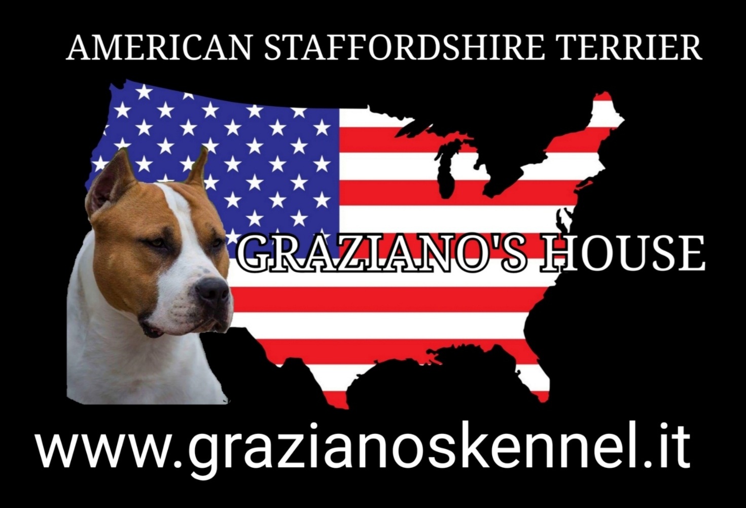 Immagine che contiene testo, cane, mammifero

Il contenuto generato dall'IA potrebbe non essere corretto.